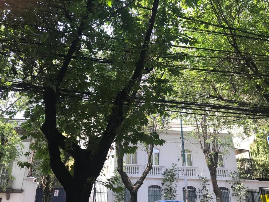 Excellent Location Renovated Apt. Roma/Condesa 1 Apartment Mexico City Exterior photo